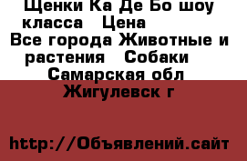 Щенки Ка Де Бо шоу класса › Цена ­ 60 000 - Все города Животные и растения » Собаки   . Самарская обл.,Жигулевск г.